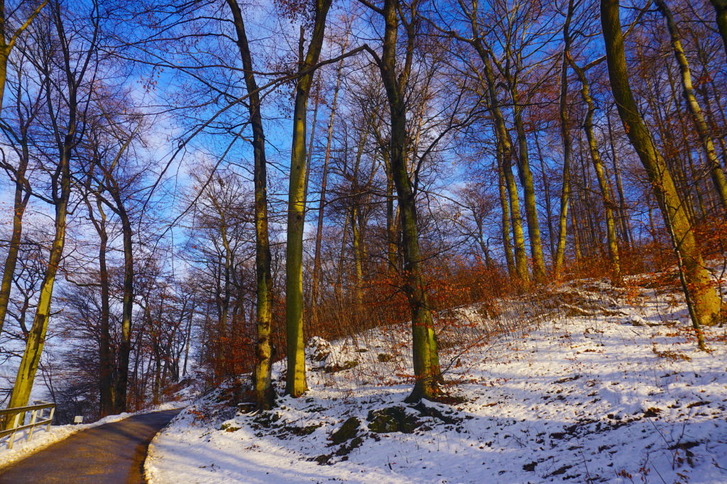 Visitar a Áustria, alpes