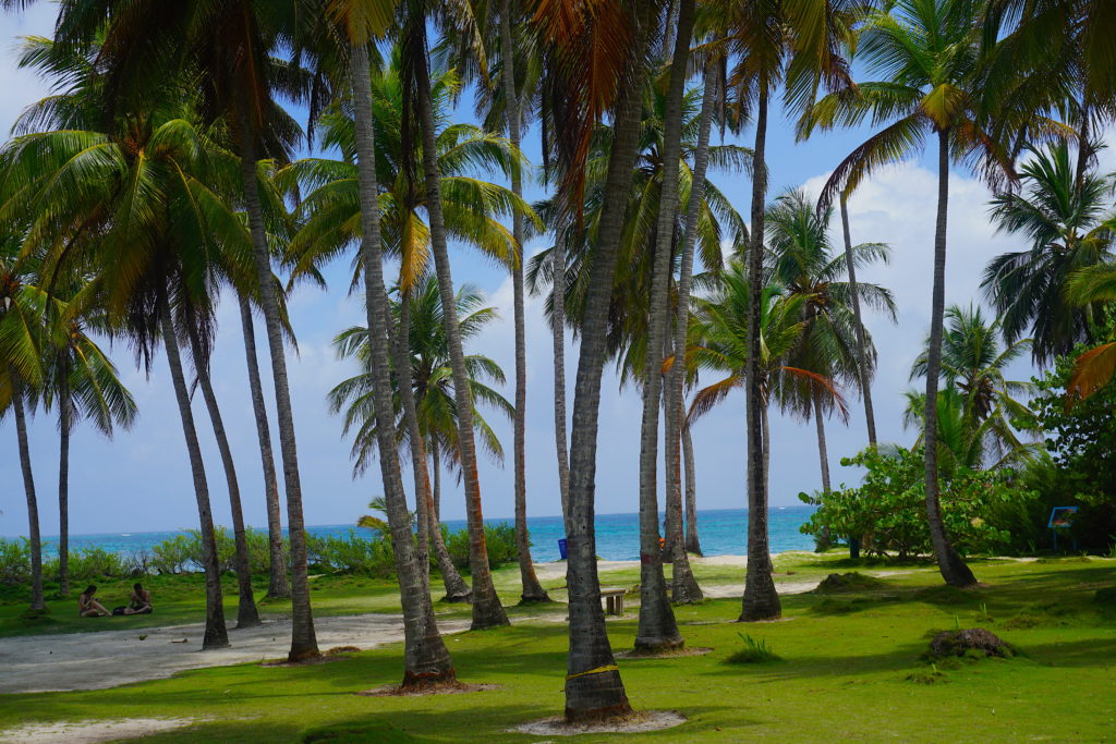 Johnny Cay, praia caribenha