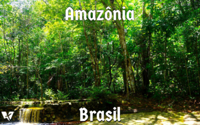 Hotel de Selva na Amazônia – nossa experiência no Amazon Ecopark