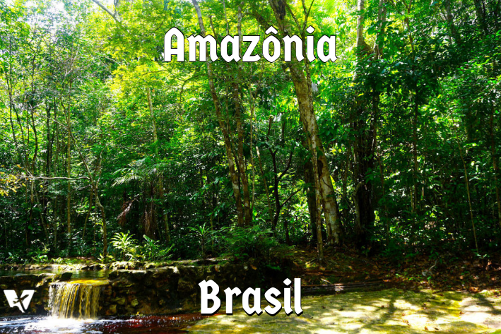 Hotel de Selva na Amazônia – nossa experiência no Amazon Ecopark