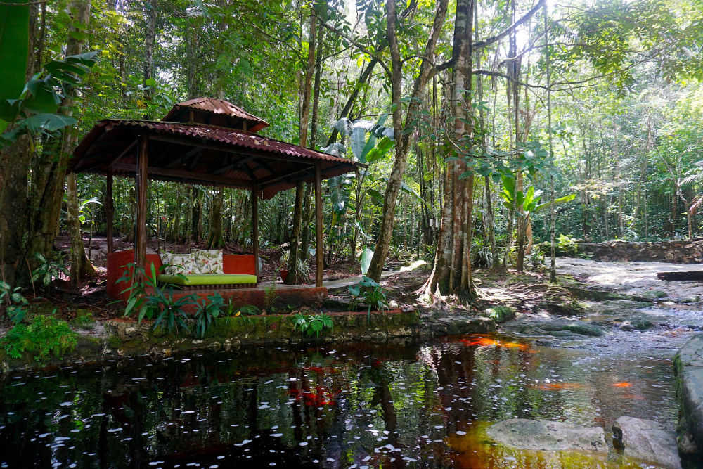 Piscinas naturais no Amazon Ecopark Jungle Lodge