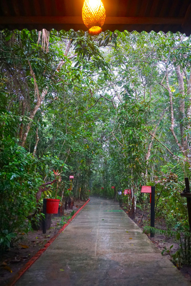 Hotel de selva na Amazônia