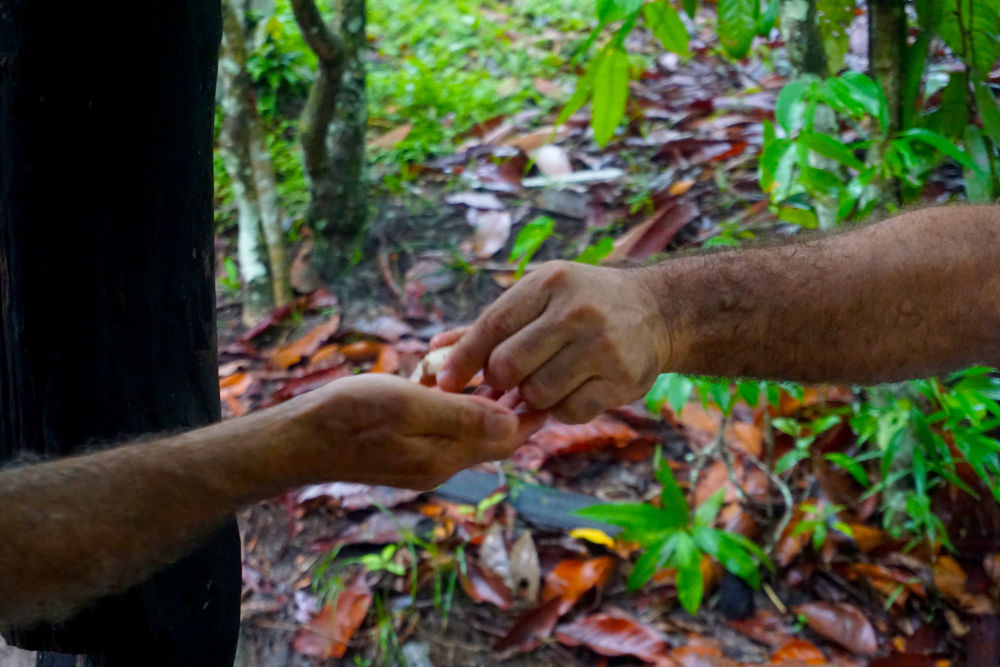 Turismo de natureza na Amazônia - interação com os locais