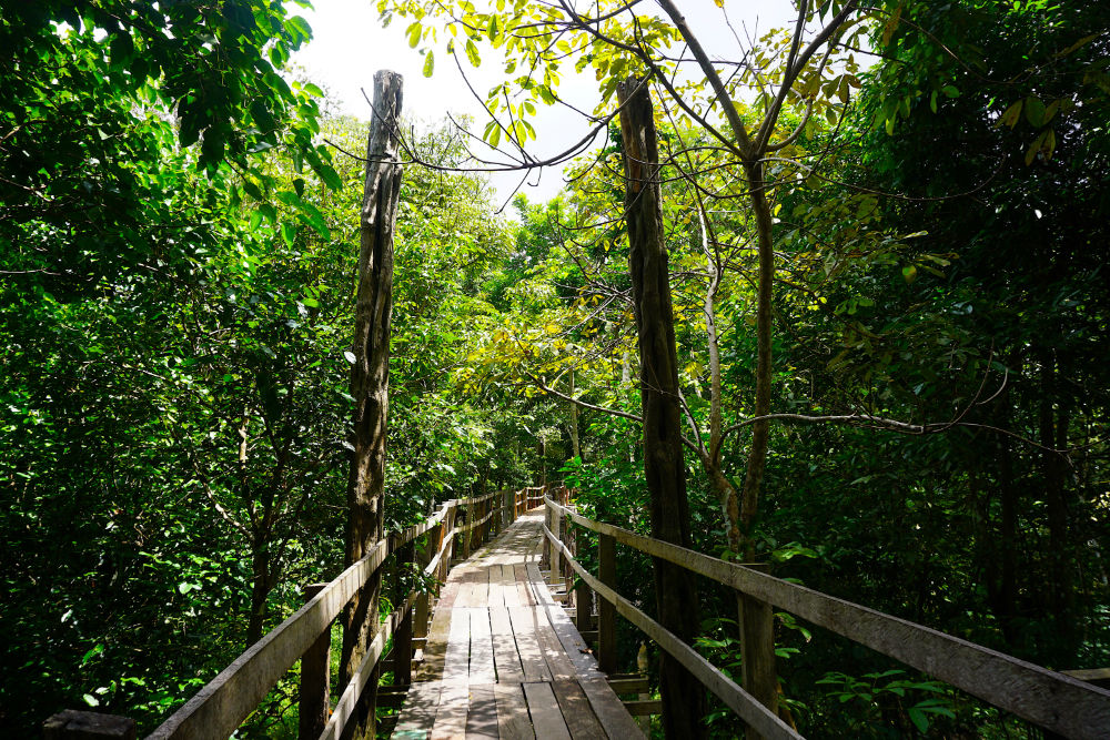 Turismo na Floresta Amazônica