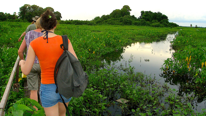 Trilha pelo Pantanal