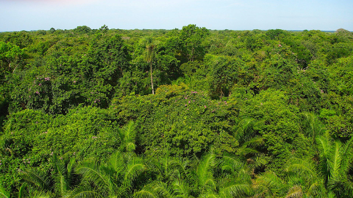 O Pantanal visto de cima