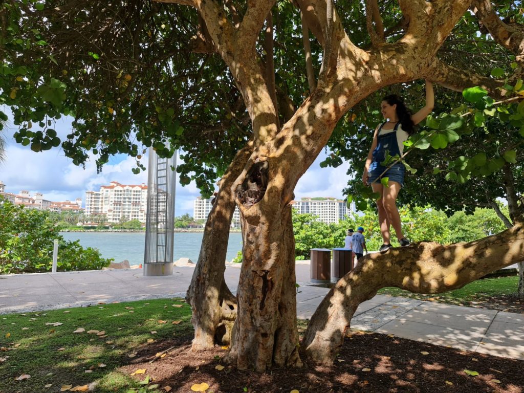 South Pointe Park, Miami